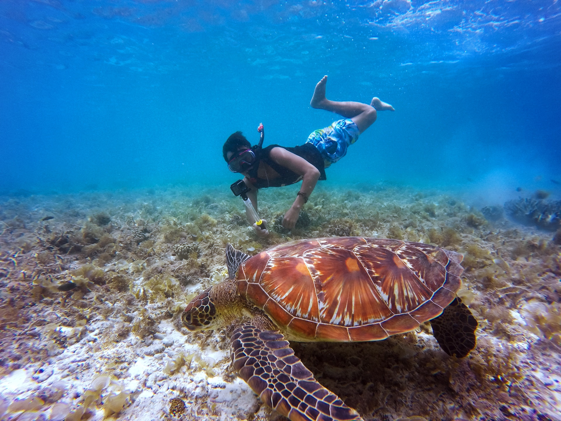 snorkling